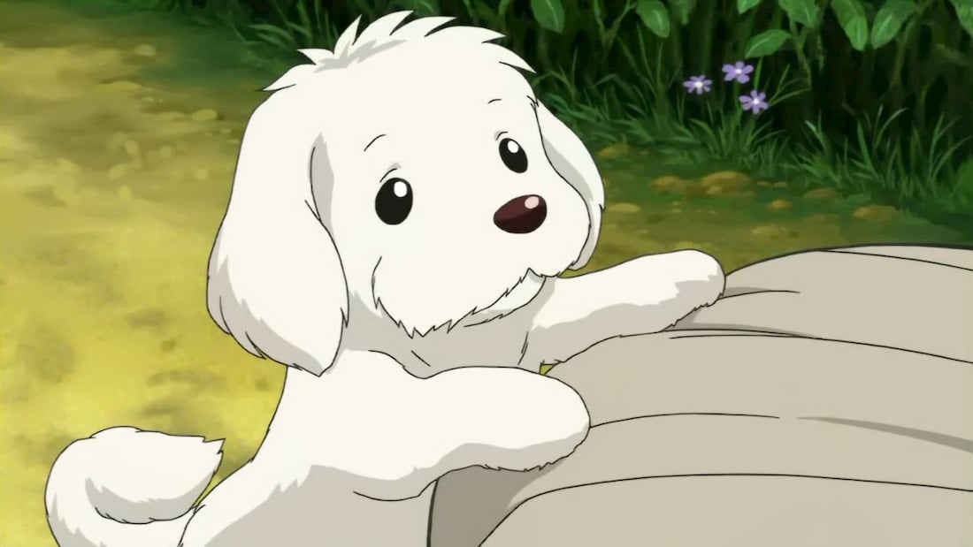 Top 10 Anime Dogs