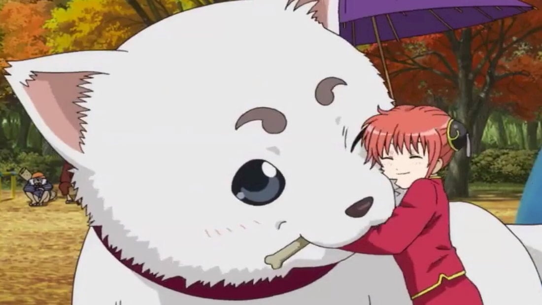 Anime Loves Great Pyrenees Dogs  Heres Where to Watch Them