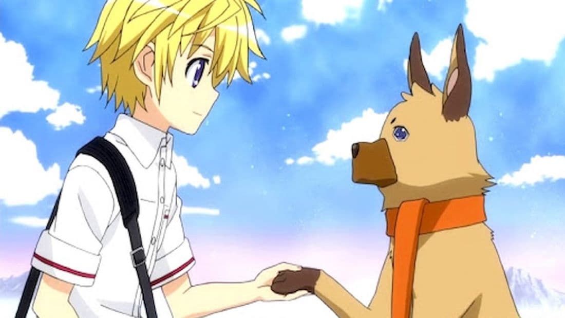 Five of Animes EqualBest Dogs