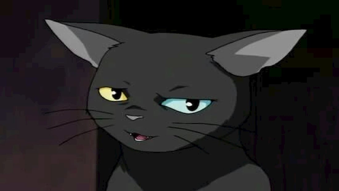 The 5 Best Black Cats in Anime